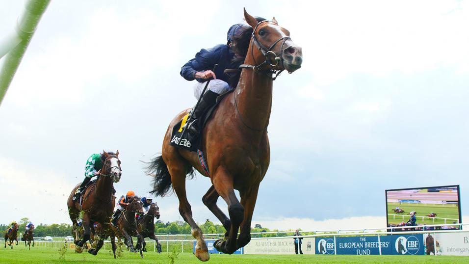 Derby winner Anthony Van Dyck